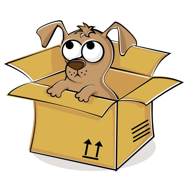 Nice puppy in box — Stock Vector
