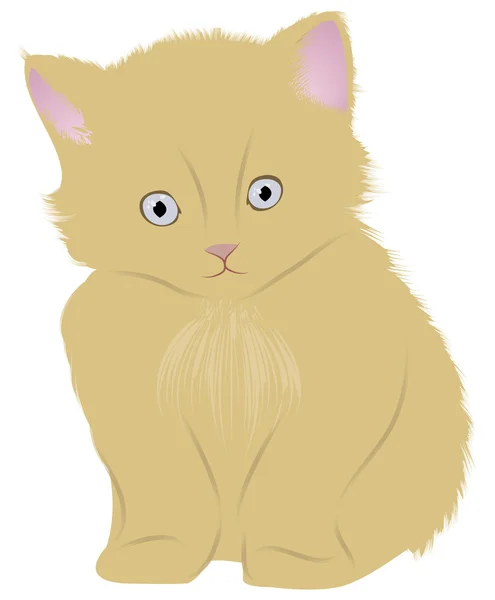 Katt (kattunge) — Stock vektor
