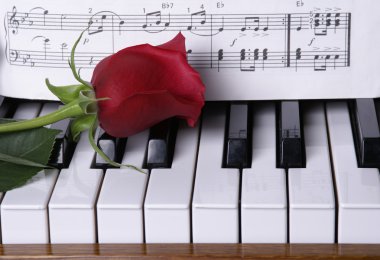 Piano with red rose clipart