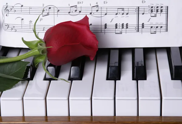 Piano with red rose — Stock Photo, Image