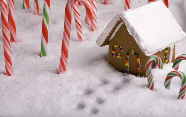 Christmas Footprints leading to Gingerbread cottage — Stock Photo, Image