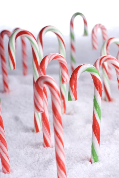 Kerstmis candy canes in de sneeuw-portret — Stockfoto