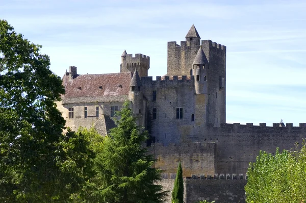 Castle of Beynac — Stock Photo, Image