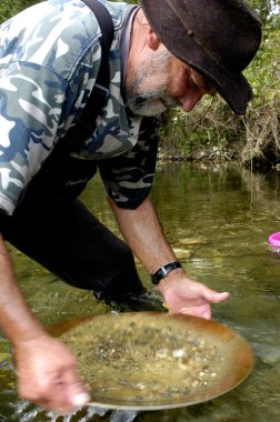 Prospector panning for gold in river clipart