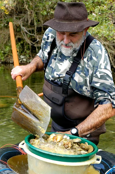 Prospector panning para ouro no rio — Fotografia de Stock