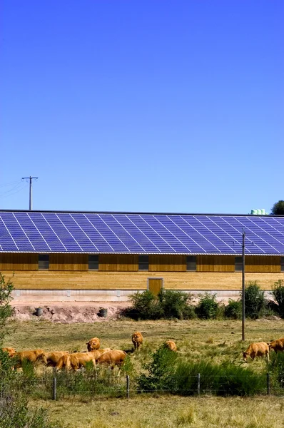 Planta fotovoltaica — Foto de Stock