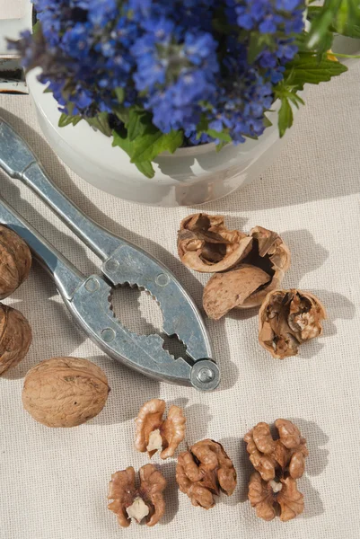 Nutcracker and nuts — Stock Photo, Image