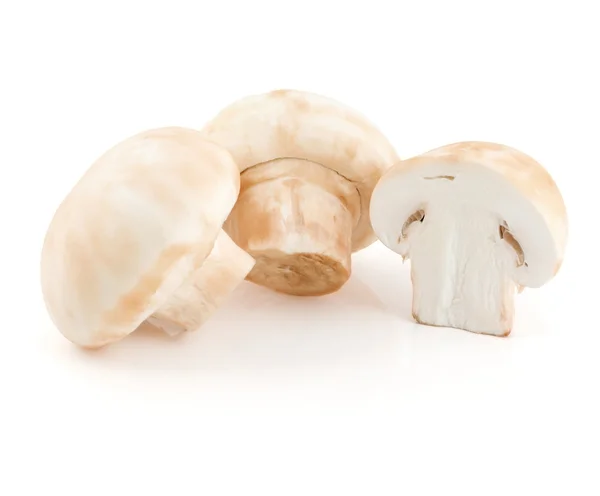 stock image Champignon mushrooms