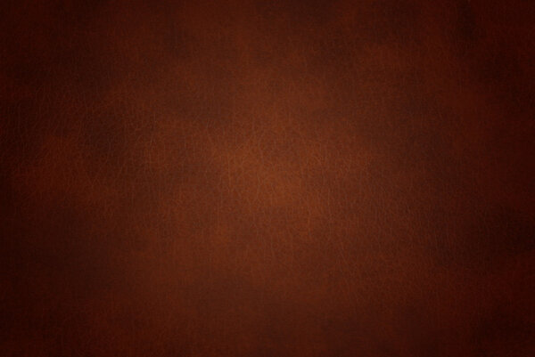 Leather background
