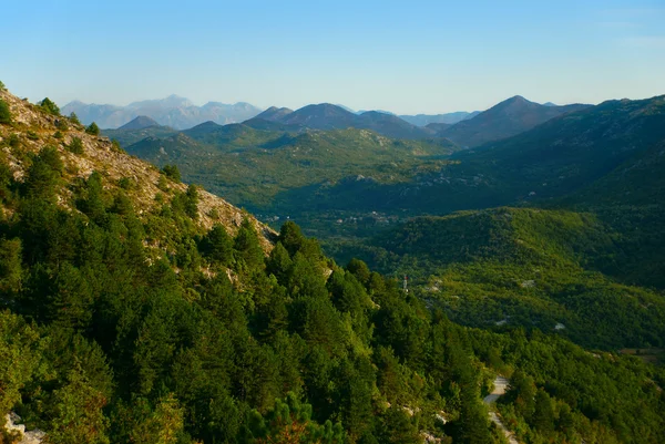 stock image Green mountains