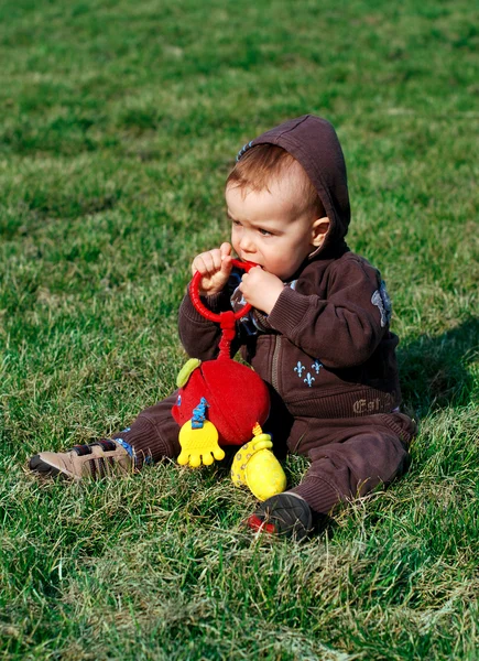 Little boy on green grass — Stock Photo, Image