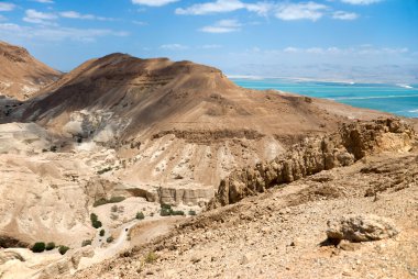 Desert and dead sea in Israel clipart