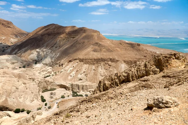 stock image Desert and dead sea in Israel