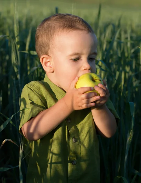 Stock image Delicious apple