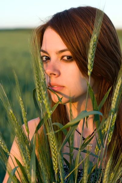 Jonge vrouw en graan — Stockfoto