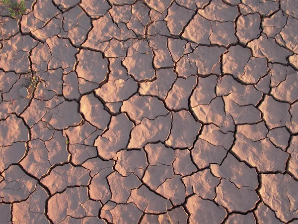 Erde wird durch Hitze und Trockenheit rissig — Stockfoto