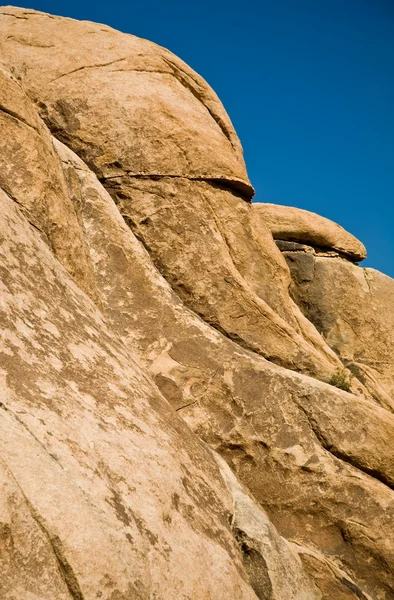 Scenic rocks like a head in Joshua tree national park — Stock Photo, Image