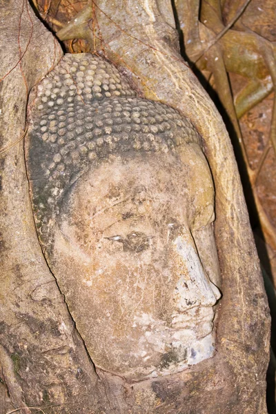 Bouddha visage recouvert de racines temple Mahathat — Photo