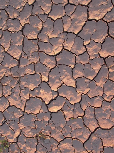 Terra seca com estrutura e arranhões devido ao calor — Fotografia de Stock
