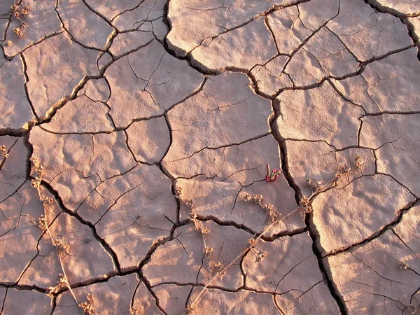 Detalhe da terra de loam seca — Fotografia de Stock
