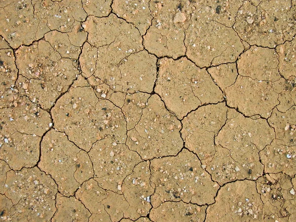 Detail suché hlíny země — Stock fotografie