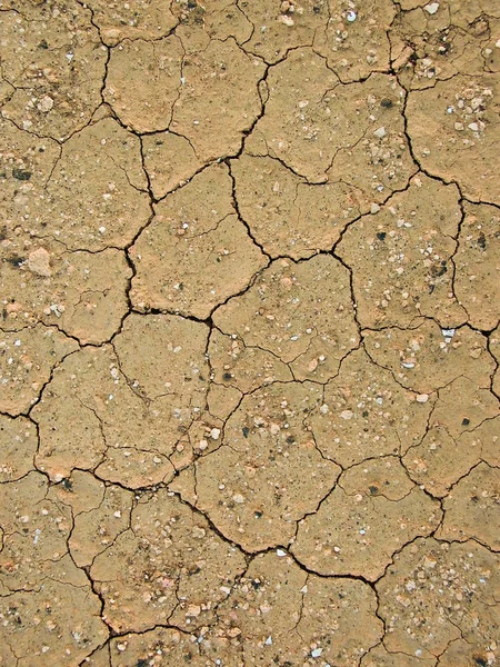 Detail suché hlíny země — Stock fotografie