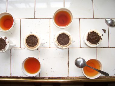 Tea tasting in a Tee factory in Sri Lanka clipart