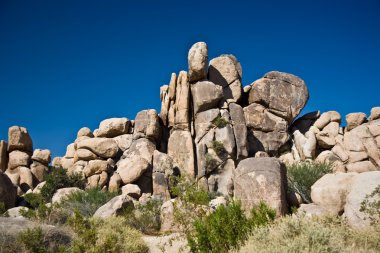 doğal taş ve ağaçları yılında joshua tree national park