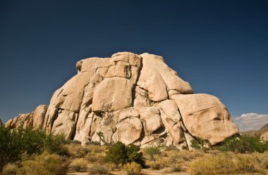 doğal taş ve ağaçları yılında joshua tree national park