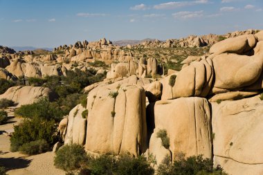 doğal taş ve ağaçları yılında joshua tree national park