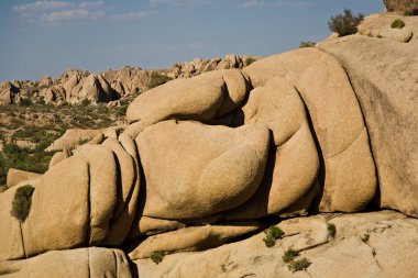 doğal taş ve ağaçları yılında joshua tree national park