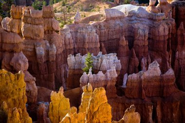 Bryce canyon hoodoos içinde güneşin ilk ışınları