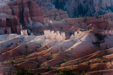 Bryce canyon hoodoos içinde güneşin ilk ışınları