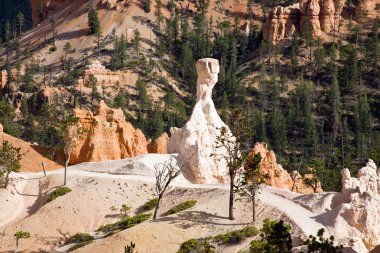 Beautiful landscape in Bryce Canyon with sandstone pillar like a clipart