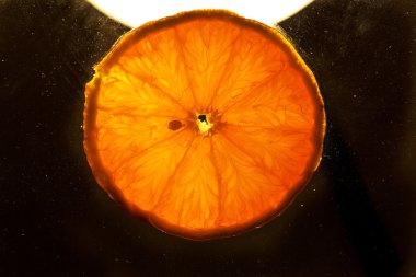 turuncu meyveler ayrıntılı olarak dilimlenmiş