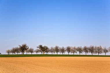 ağaçlar sıra ile taze sürülmüş acre