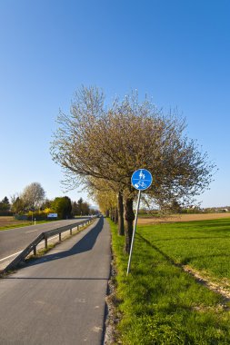 lane ile Street yeni gelişen ağaç