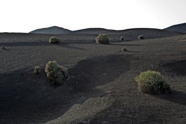 milli park timanfaya volkanik manzara