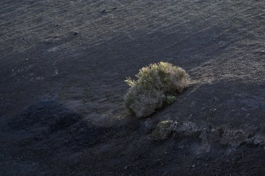 milli park timanfaya volkanik manzara