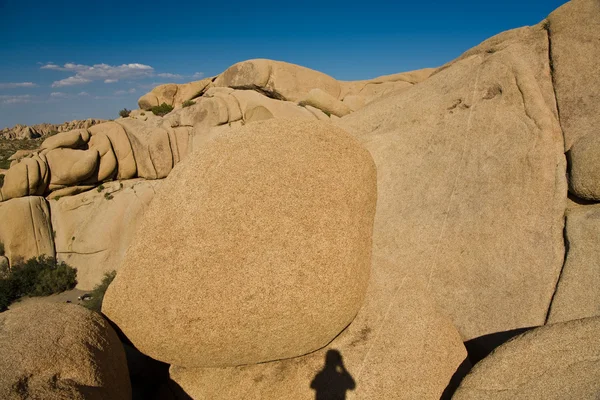 風光明媚な岩や木々 にジョシュア ツリー国立公園 — ストック写真