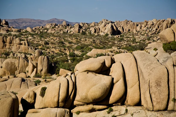 Milli park'ın jumbo kayalarda dışarı yıkanmış doğal manzaralı — Stok fotoğraf