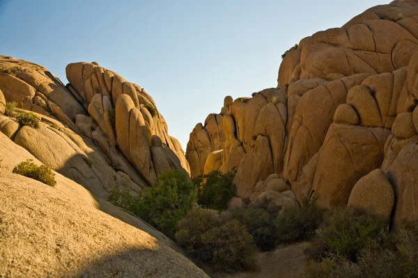 Scenic washed out Jumbo rocks in the National Park — Stock Photo, Image