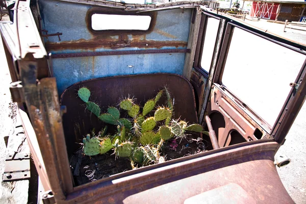 Старый гнилой автомобиль с заводами внутри — стоковое фото
