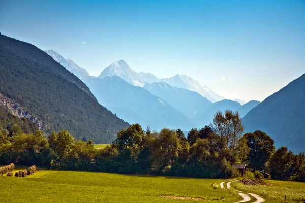 Hermoso paisaje en los Alpes tiroleos, hierba de buen olor y maravilloso —  Fotos de Stock