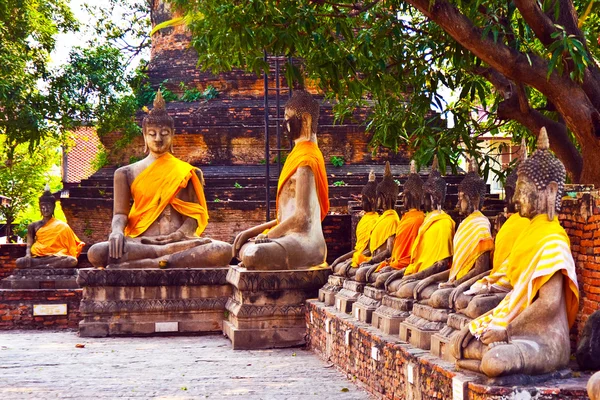 Buddha statyer på tempel wat yai chai mongkol — Stockfoto