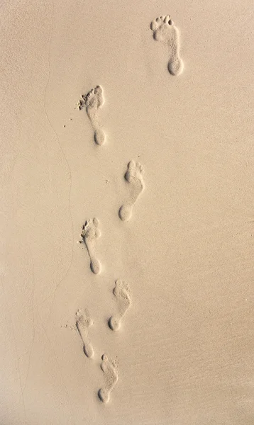 Huella humana para adultos en la arena fina de la playa — Foto de Stock