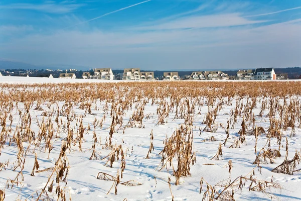 冬は雪、エーカーと住宅地の美しい風景 — ストック写真