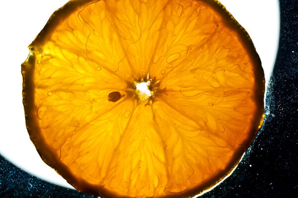 Sliced orange fruits in detail