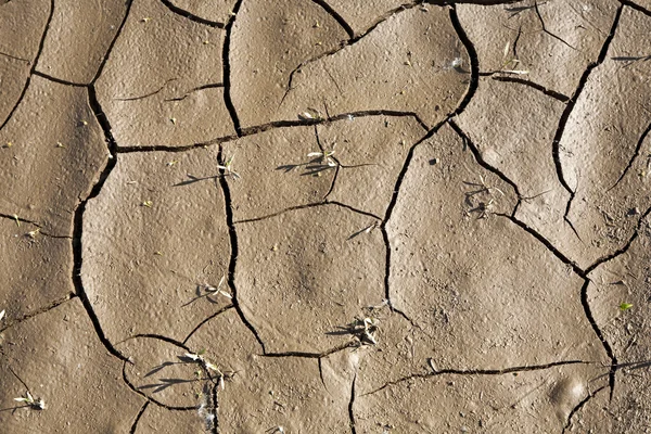 Cracked earth background — Stock Photo, Image