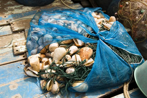 Fisknät kommer torkas i en liten by — Stockfoto